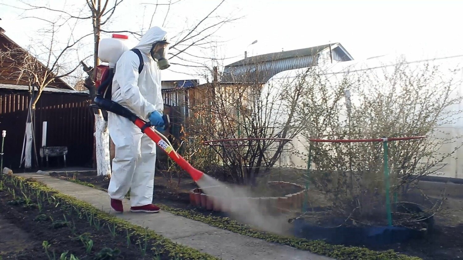 ФОТО Уничтожение муравьёв в рабочем поселке Московской области Томилино