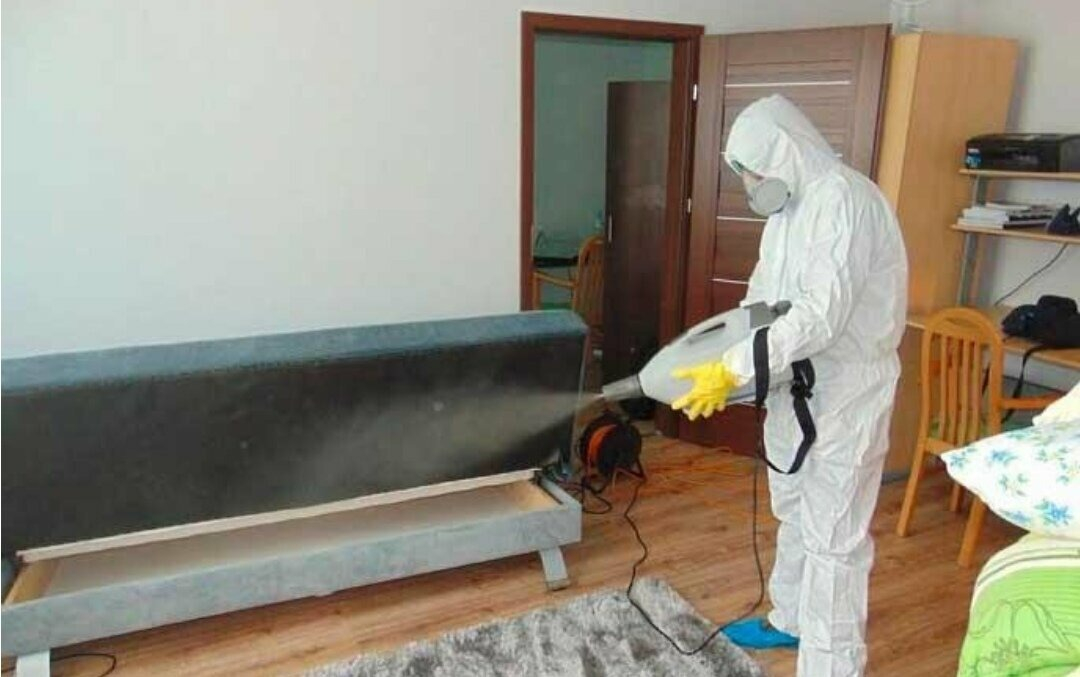 ФОТО Уничтожение блох в рабочем поселке Московской области Томилино