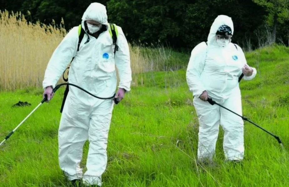 ФОТО Обработка от клещей в рабочем поселке Московской области Томилино