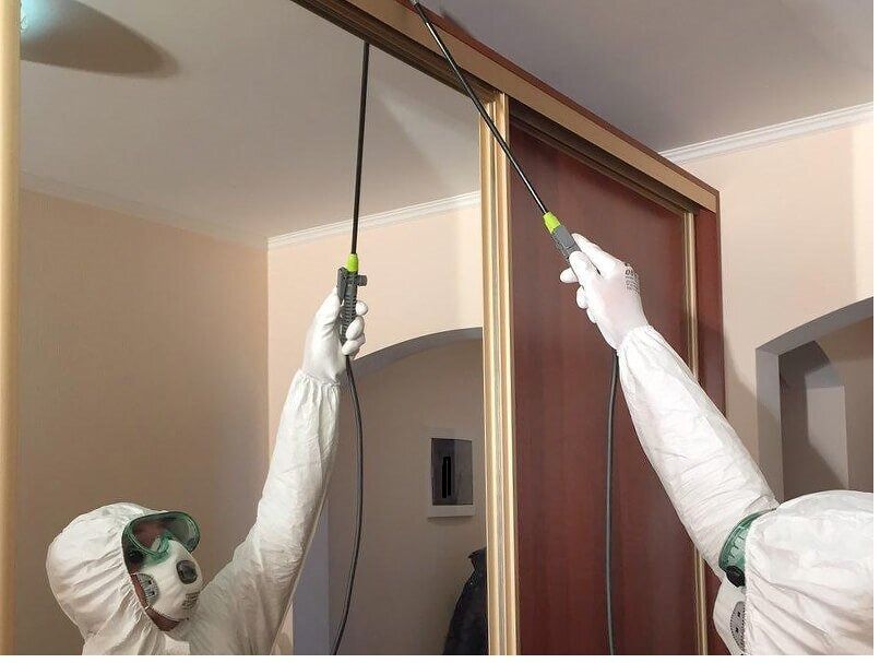 ФОТО Обработка от моли в рабочем поселке Московской области Томилино