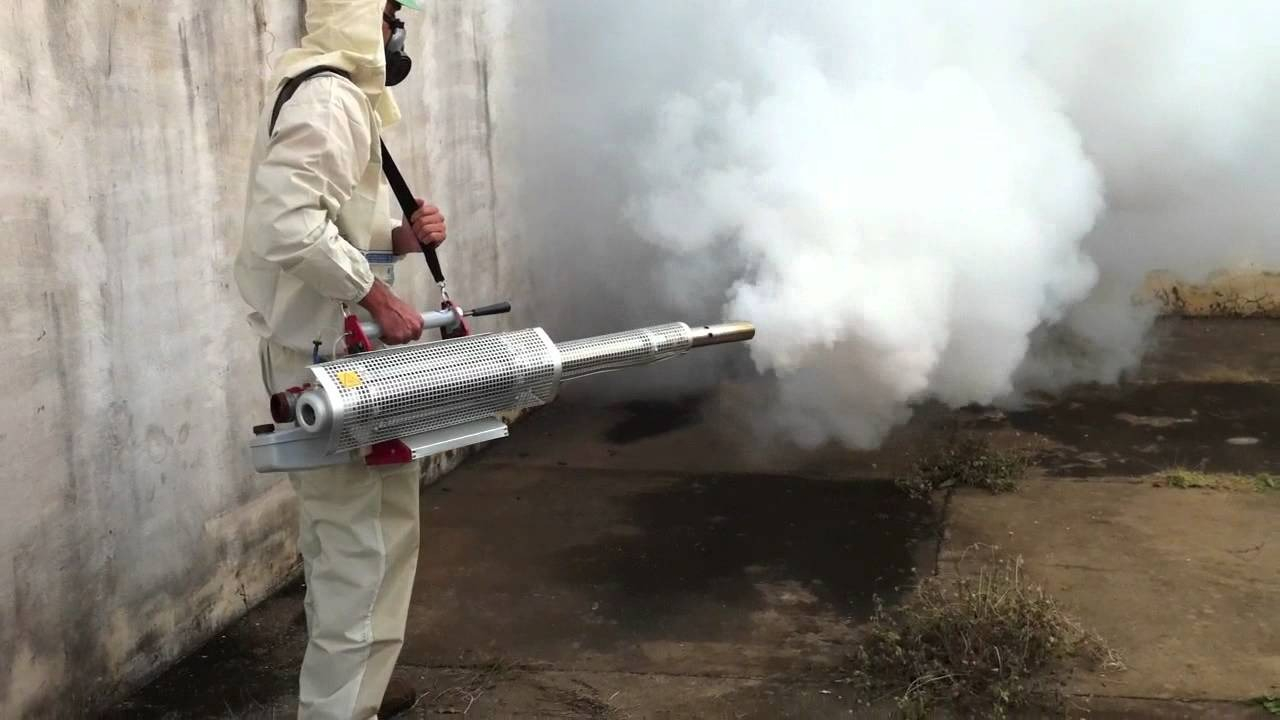 ФОТО Уничтожение мух в рабочем поселке Московской области Томилино