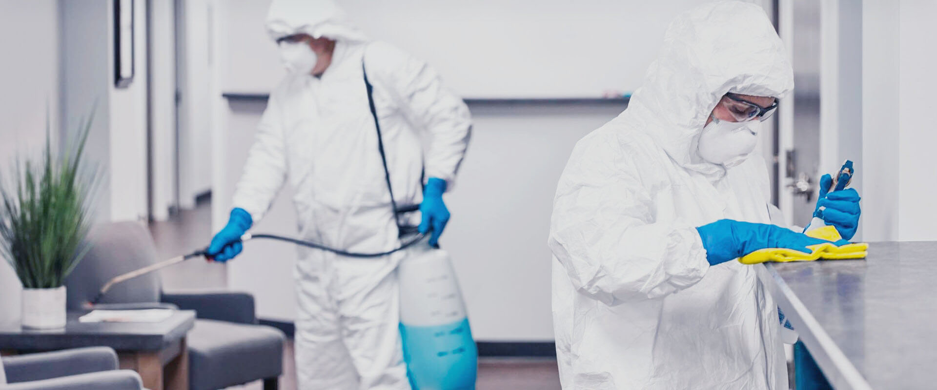 ФОТО В чем разница между дезинфекцией и дезинсекцией в рабочем поселке Московской области Томилино? | подробно