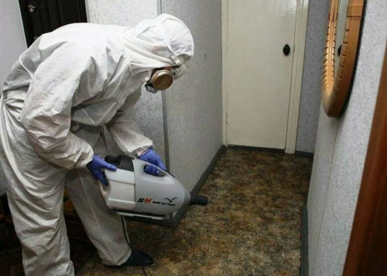 ФОТО Какие методы обработки для дезинсекции существуют в рабочем поселке Московской области Томилино? | подробно