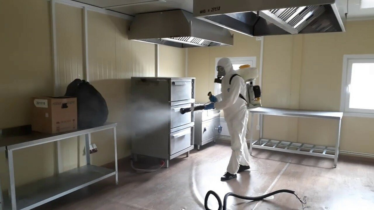 ФОТО Можно ли провести дезинсекцию самостоятельно и какие существуют риски в рабочем поселке Московской области Томилино? | подробно