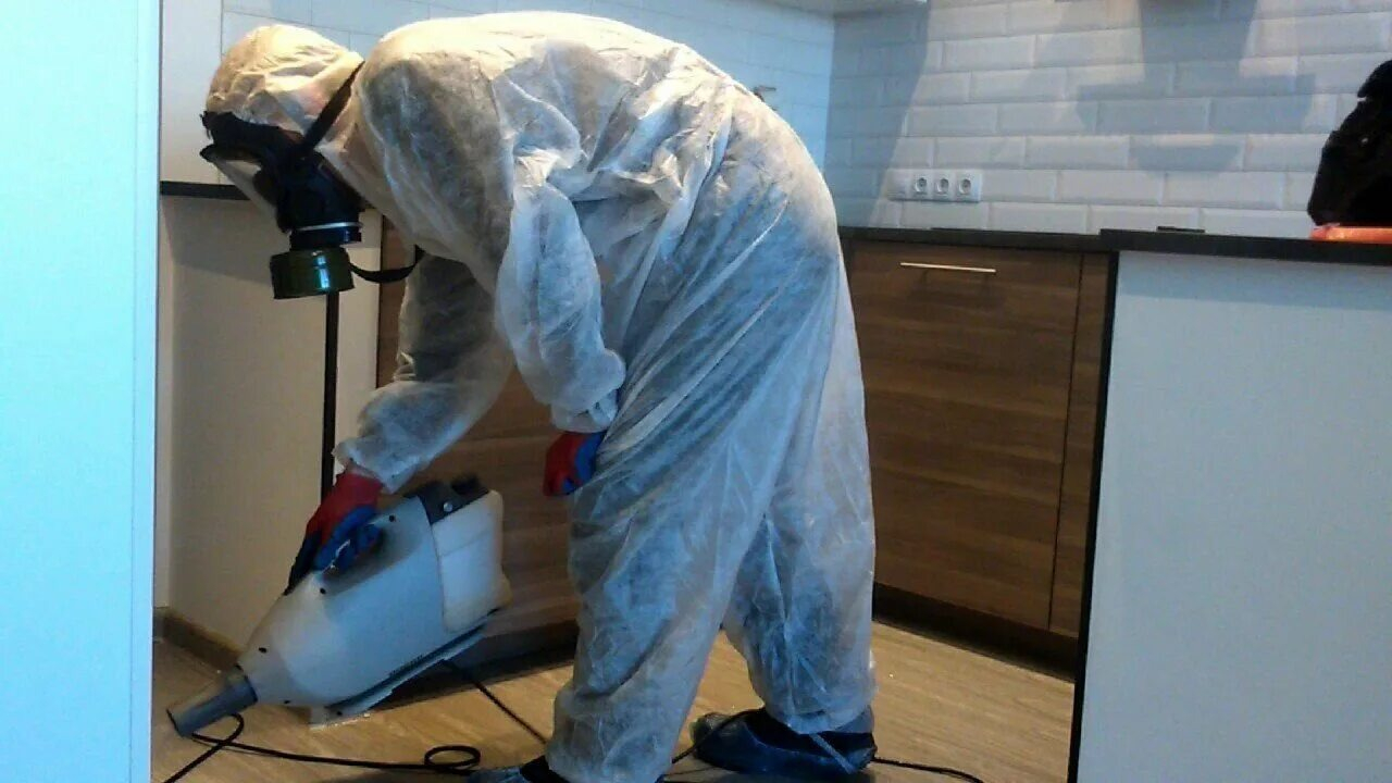 ФОТО Как подготовить домашних животных к обработке от насекомых в рабочем поселке Московской области Томилино? | подробно