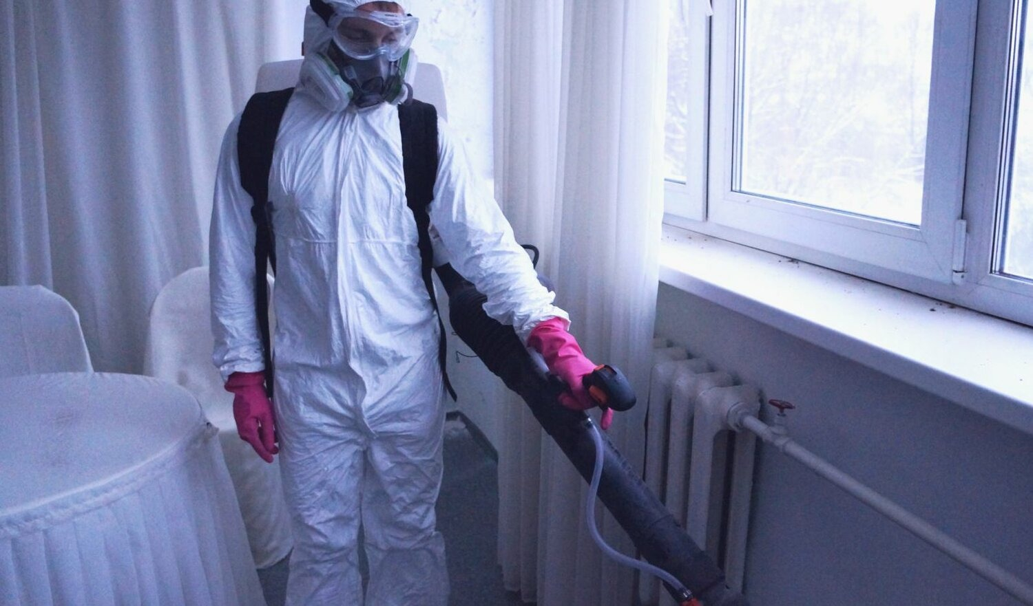 ФОТО Нужно ли выносить растения при дезинсекции в рабочем поселке Московской области Томилино? | подробно