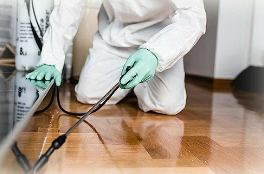 ФОТО Как подготовить вентиляцию при предстоящей дезинсекции в рабочем поселке Московской области Томилино?