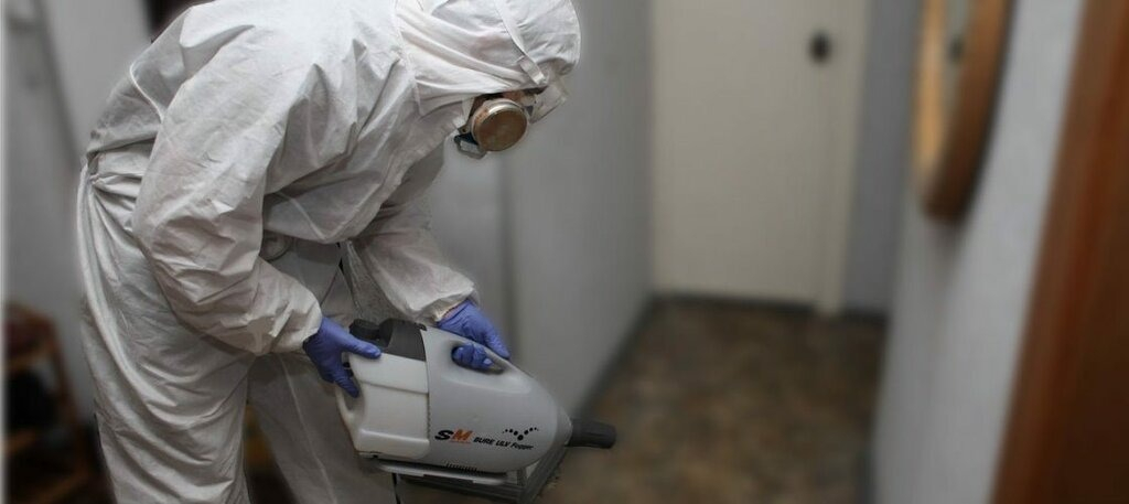 ФОТО Остаются ли следы после обработки квартиры от насекомых в рабочем поселке Московской области Томилино? | подробно