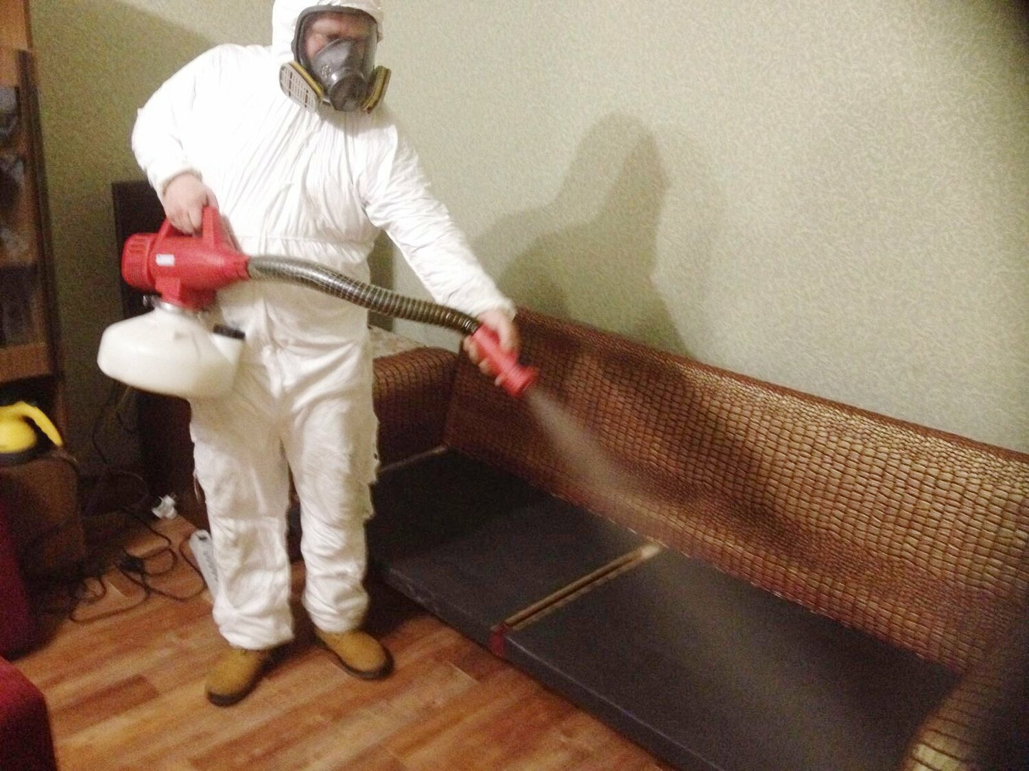 ФОТО Когда можно вернуться в помещение после дезинсекции в рабочем поселке Московской области Томилино? | подробно