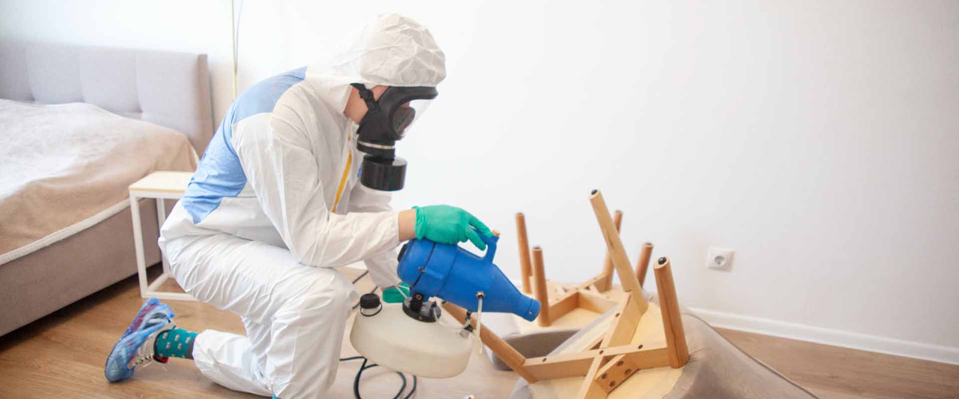 фото: Уничтожение постельных клопов с 1-го раза с гарантией за 30-60 мин. в рабочем поселке Московской области Томилино без предоплаты