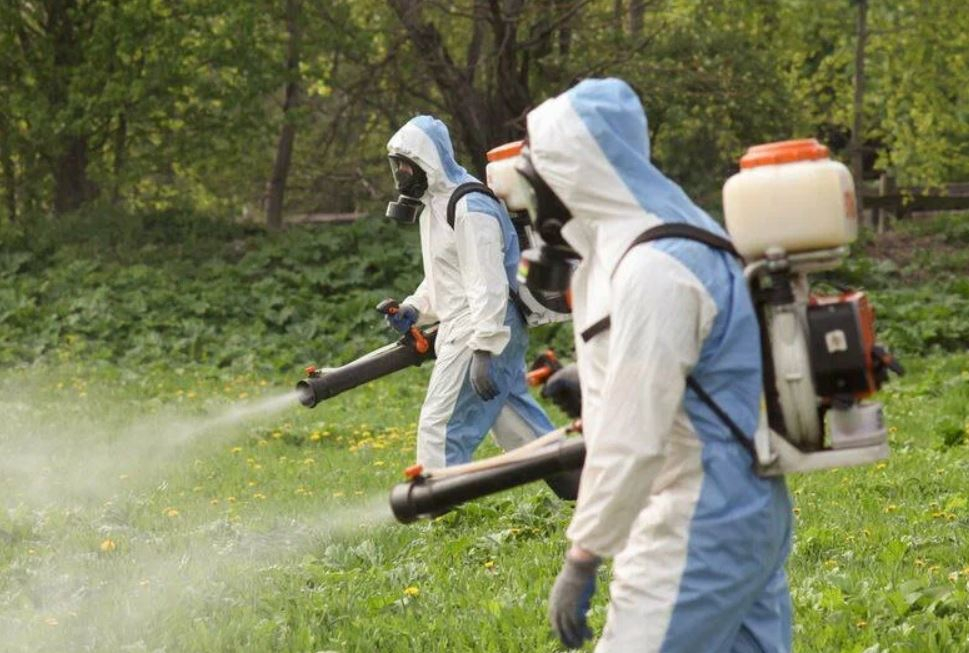 фото: Профессиональное уничтожение мух в рабочем поселке Московской области Томилино: <br/>+7-909-173-42-96